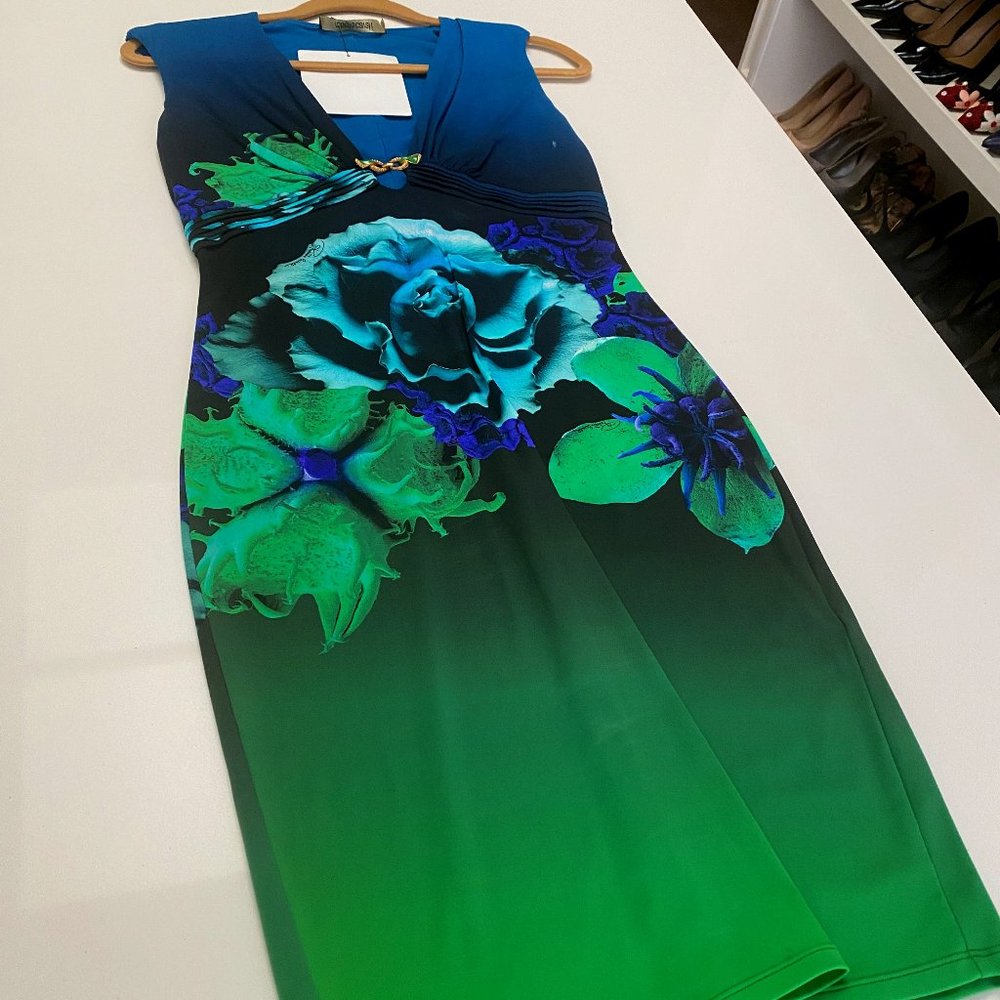 Roberto Cavalli Dress (NWT)